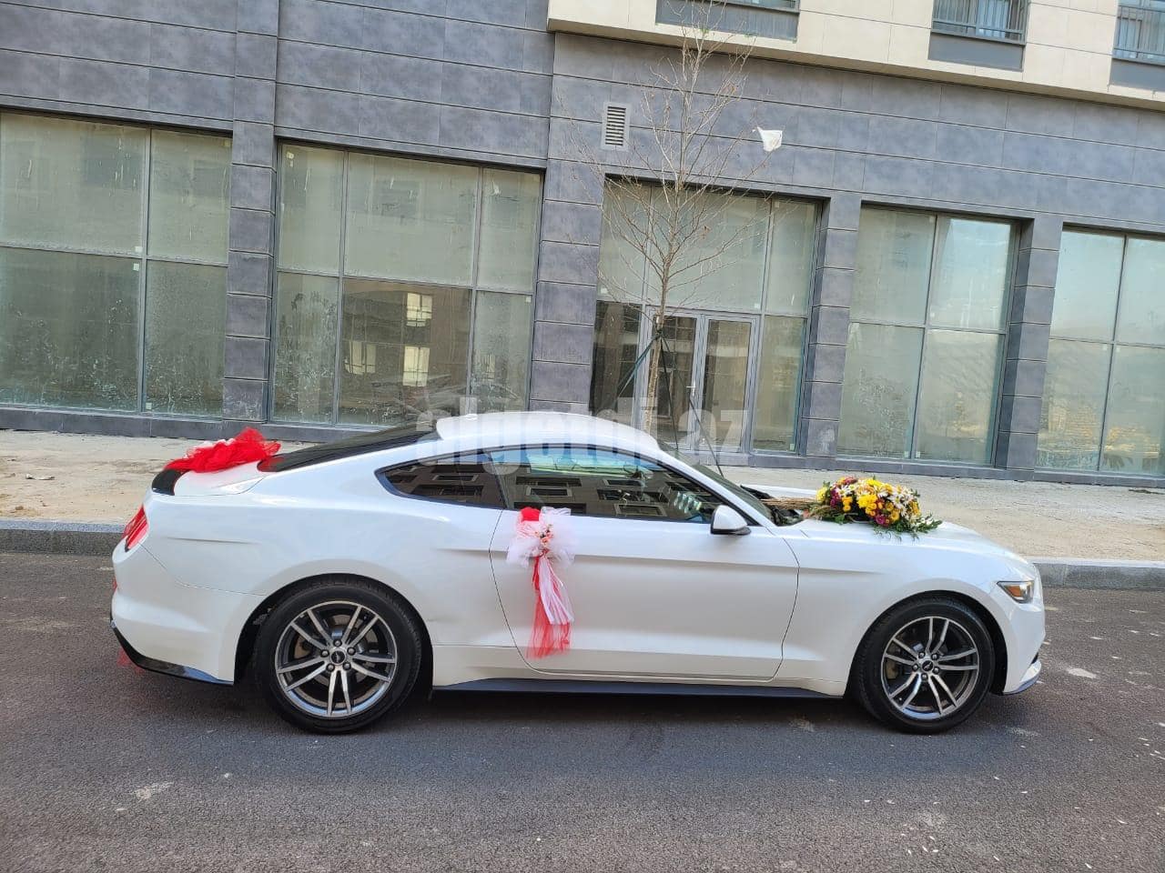 mustang bey gelin toy masini sifarisi