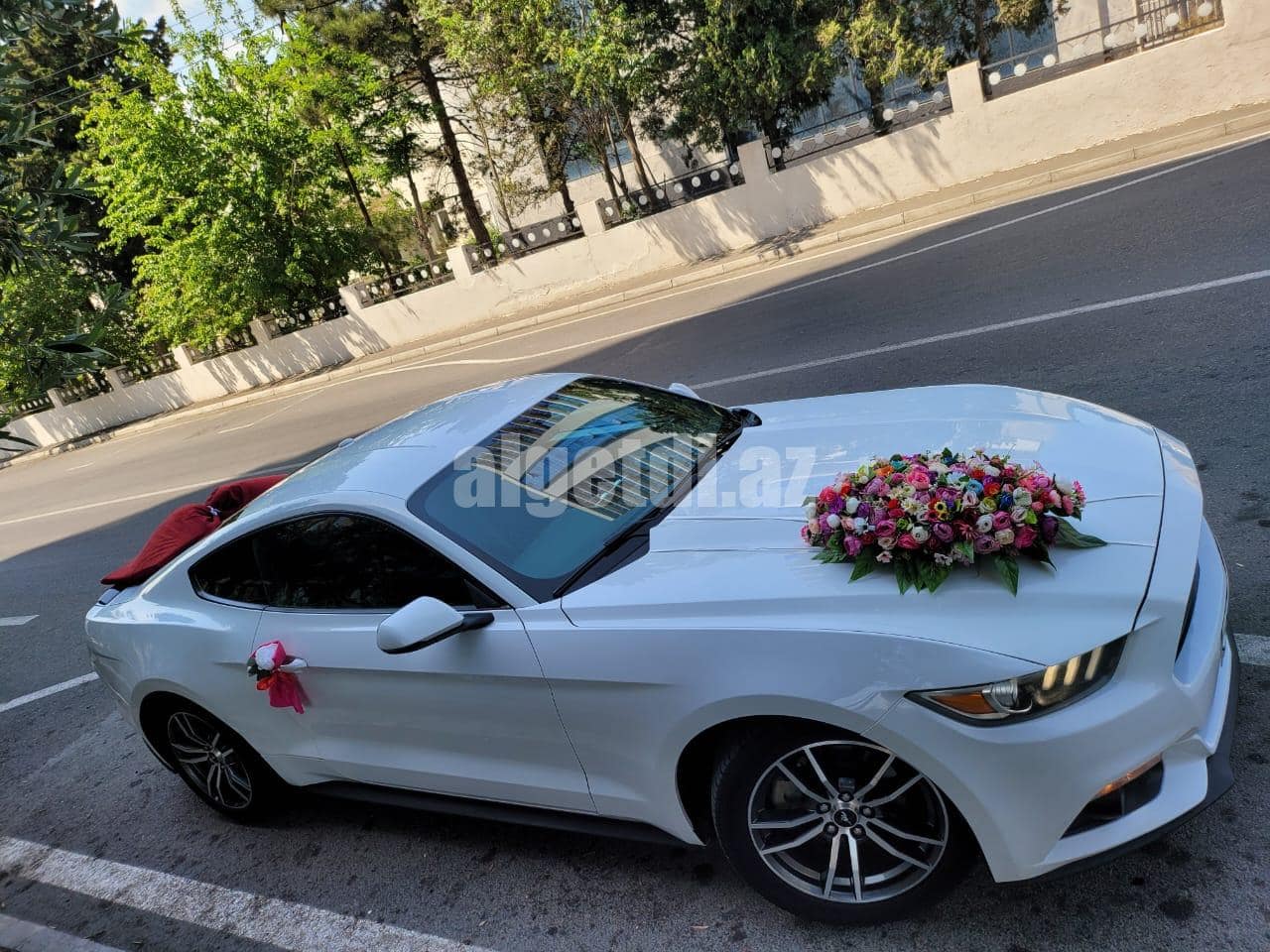 mustang bey gelin toy masini sifarisi