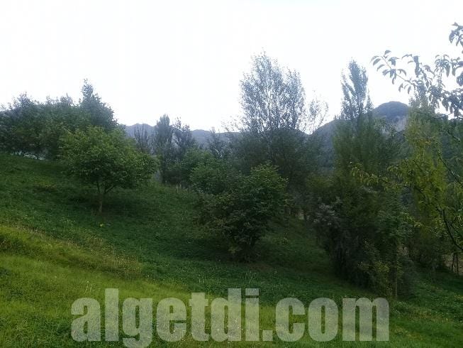 Lahıcda 16 sot kupçalı torpaq satılır