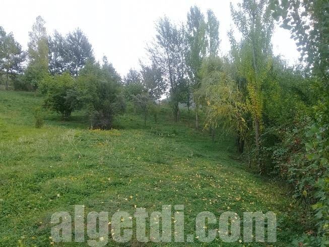 Lahıcda 16 sot kupçalı torpaq satılır