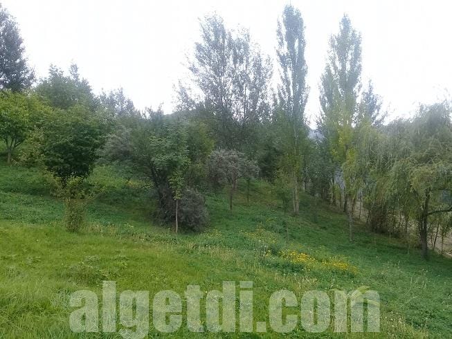 Lahıcda 16 sot kupçalı torpaq satılır