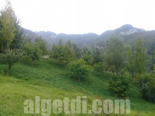 Lahıcda 16 sot kupçalı torpaq satılır