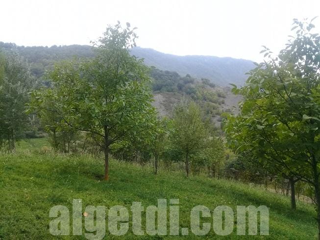 Lahıcda 16 sot kupçalı torpaq satılır