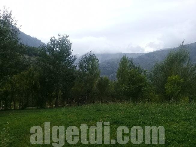 Lahıcda 16 sot kupçalı torpaq satılır